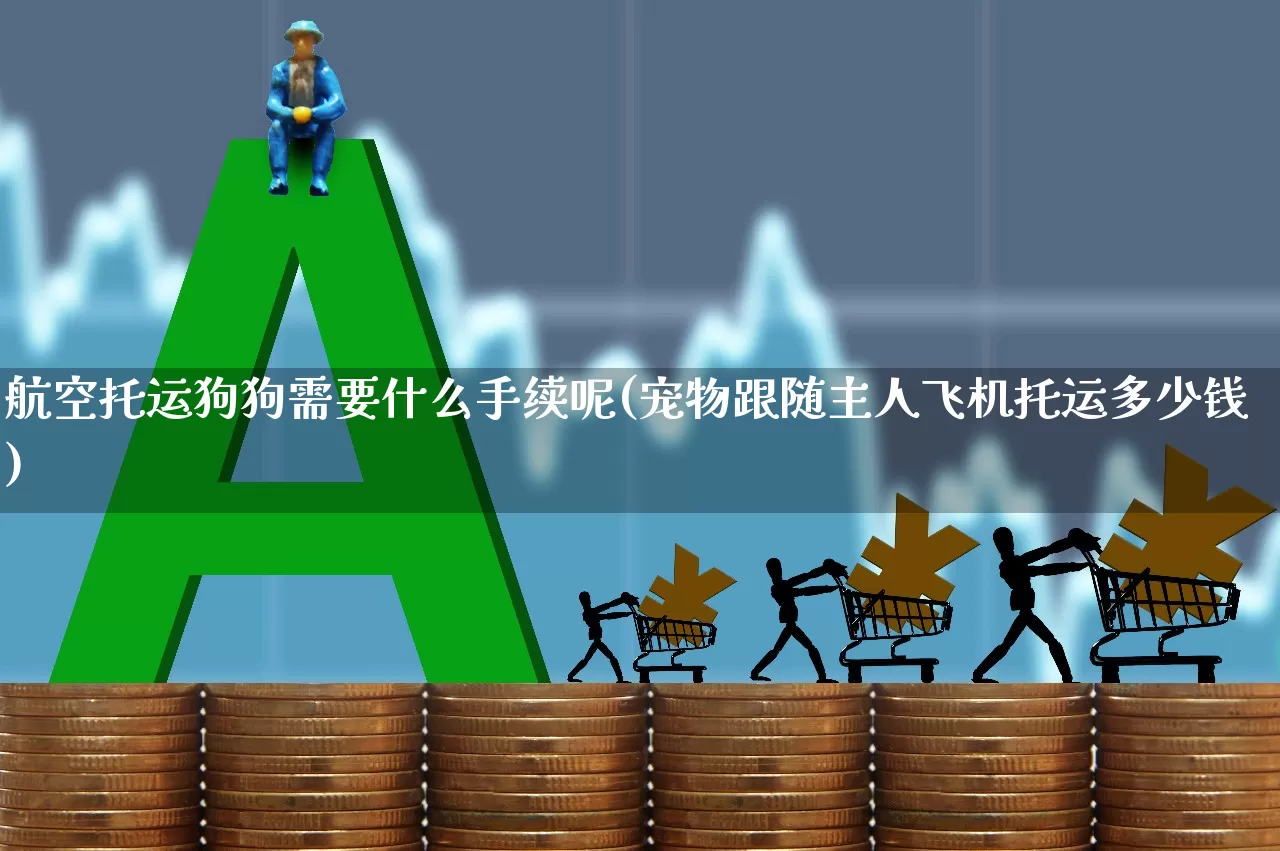 航空托运狗狗需要什么手续呢(宠物跟随主人飞机托运多少钱)_https://www.jumanxin.com_上交所_第1张