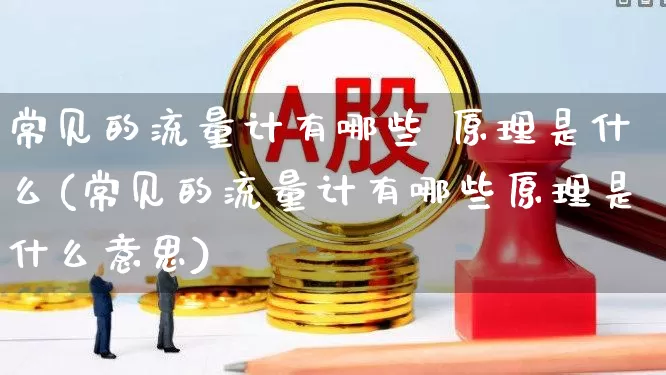 常见的流量计有哪些 原理是什么(常见的流量计有哪些原理是什么意思)_https://www.jumanxin.com_北交所_第1张