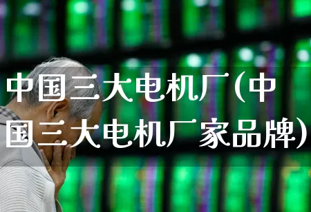 中国三大电机厂(中国三大电机厂家品牌)_https://www.jumanxin.com_北交所_第1张