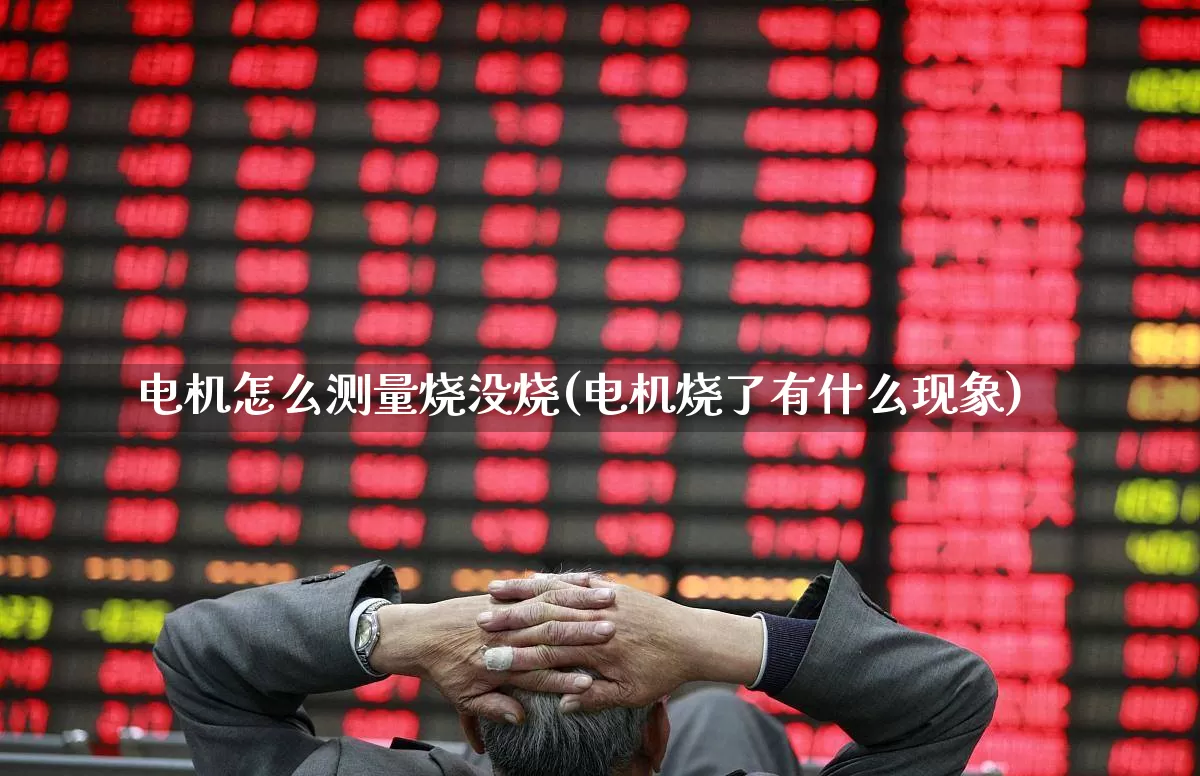 电机怎么测量烧没烧(电机烧了有什么现象)_https://www.jumanxin.com_北交所_第1张
