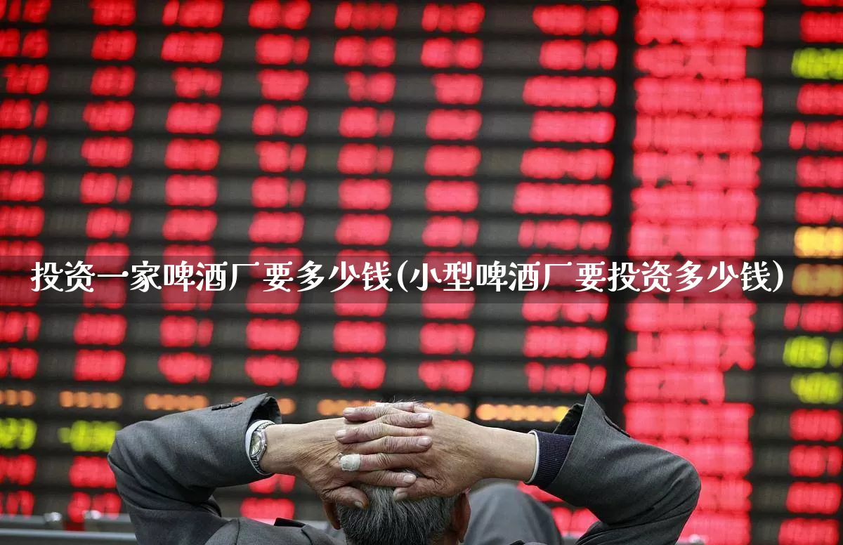 投资一家啤酒厂要多少钱(小型啤酒厂要投资多少钱)_https://www.jumanxin.com_北交所_第1张
