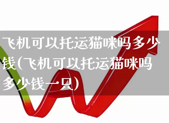 飞机可以托运猫咪吗多少钱(飞机可以托运猫咪吗多少钱一只)_https://www.jumanxin.com_上交所_第1张