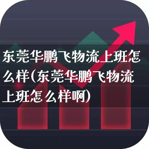 东莞华鹏飞物流上班怎么样(东莞华鹏飞物流上班怎么样啊)_https://www.jumanxin.com_北交所_第1张
