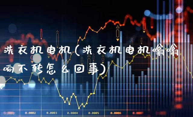 洗衣机电机(洗衣机电机嗡嗡响不转怎么回事)_https://www.jumanxin.com_北交所_第1张