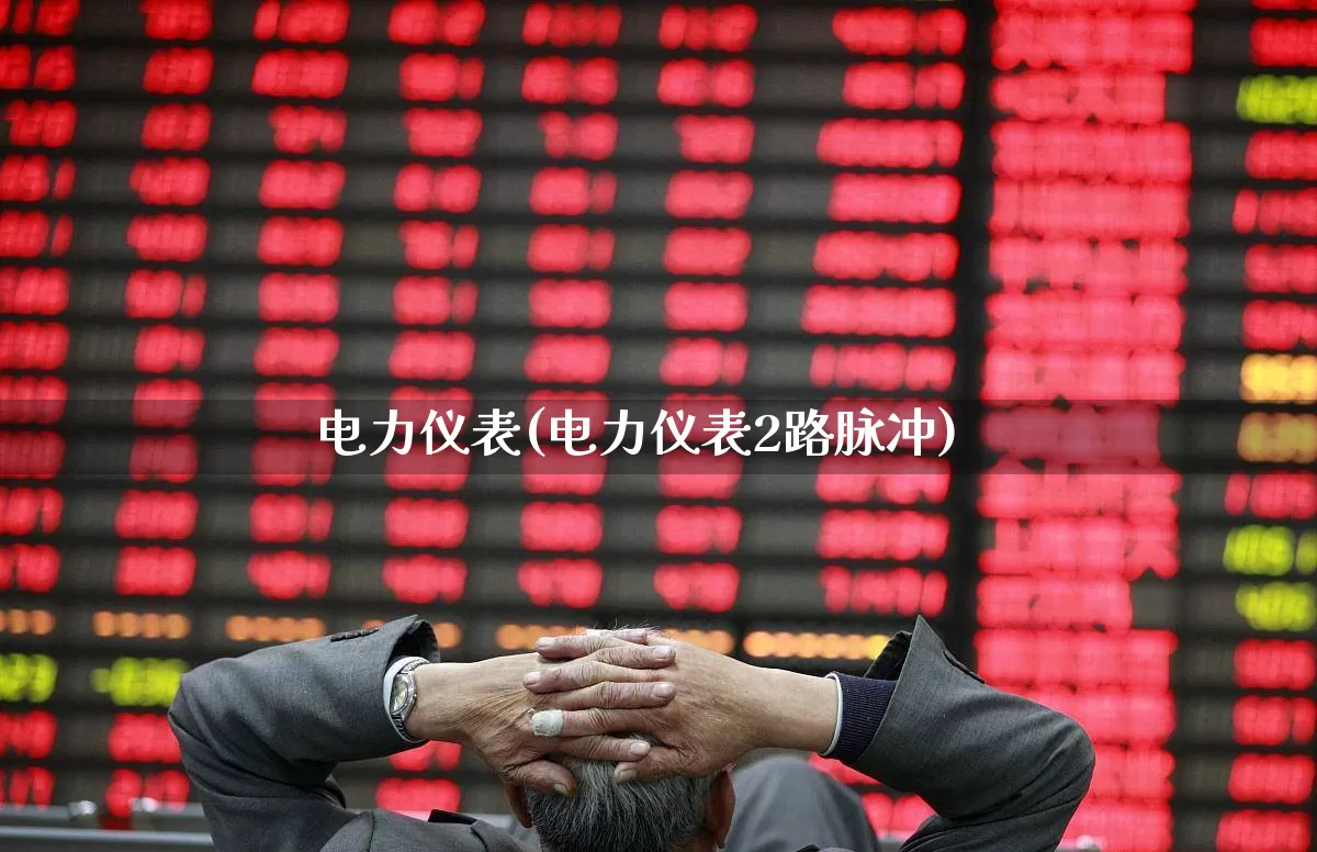 电力仪表(电力仪表2路脉冲)_https://www.jumanxin.com_深交所_第1张