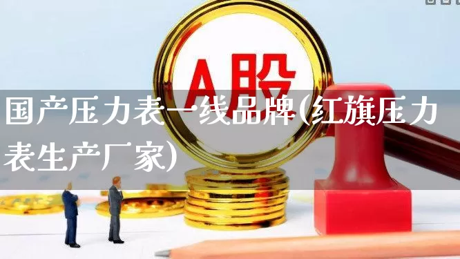 国产压力表一线品牌(红旗压力表生产厂家)_https://www.jumanxin.com_深交所_第1张