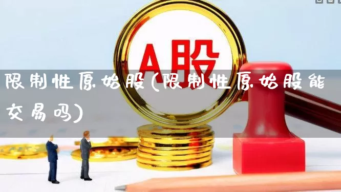 限制性原始股(限制性原始股能交易吗)_https://www.jumanxin.com_深交所_第1张