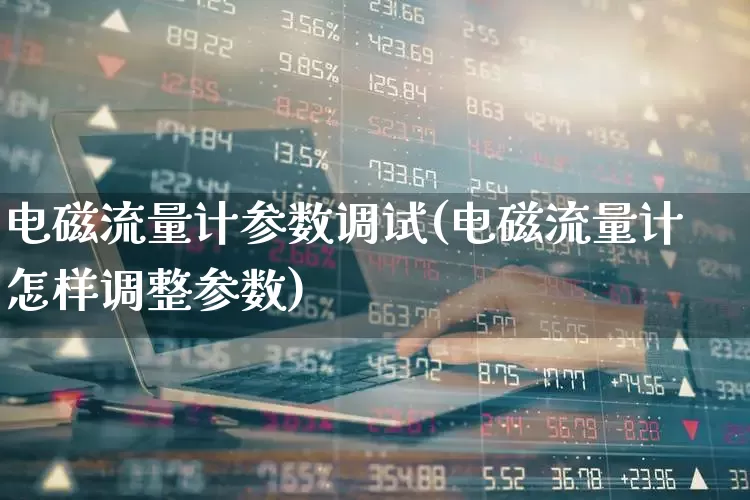 电磁流量计参数调试(电磁流量计怎样调整参数)_https://www.jumanxin.com_上交所_第1张