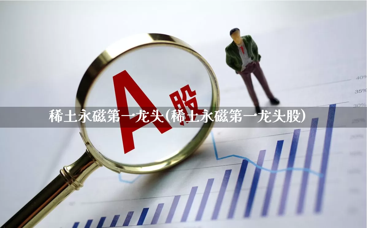 稀土永磁第一龙头(稀土永磁第一龙头股)_https://www.jumanxin.com_创业板_第1张
