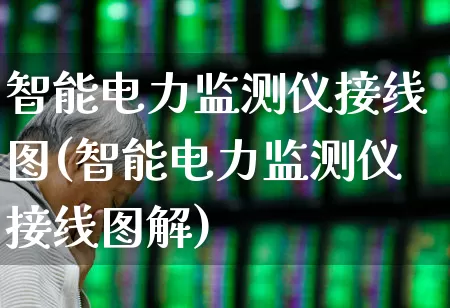 智能电力监测仪接线图(智能电力监测仪接线图解)_https://www.jumanxin.com_创业板_第1张