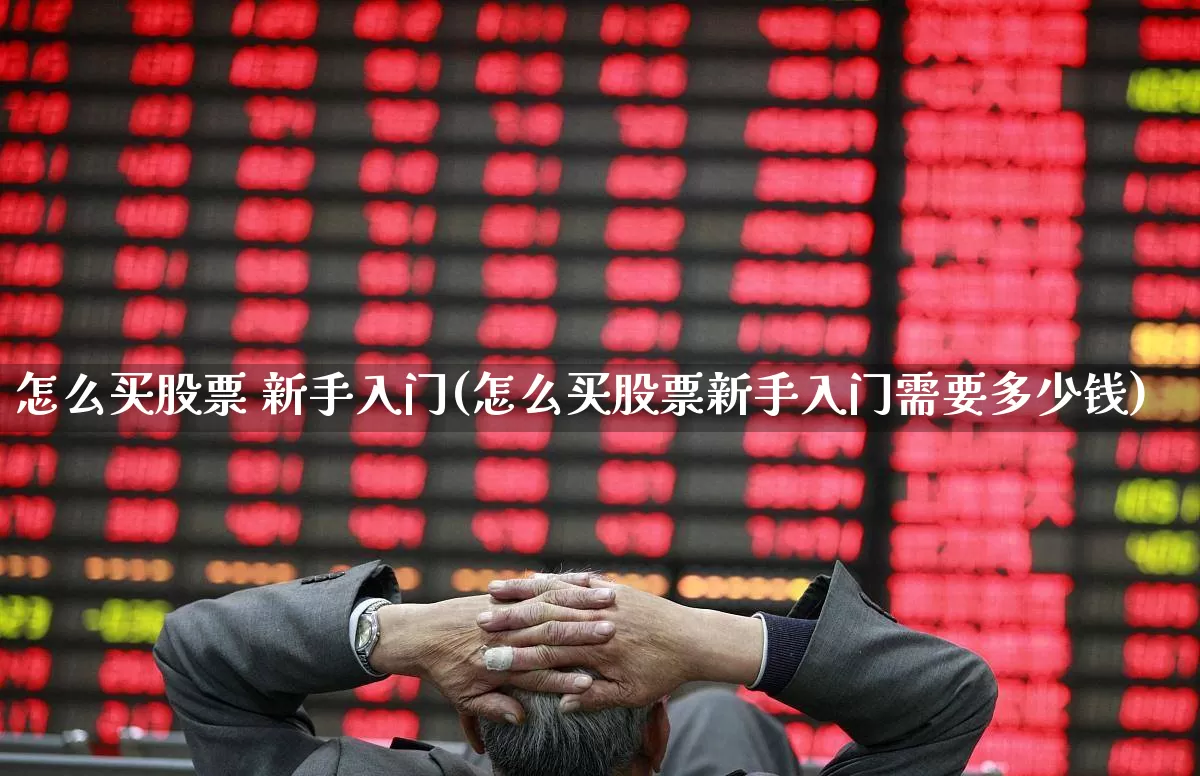 怎么买股票 新手入门(怎么买股票新手入门需要多少钱)_https://www.jumanxin.com_科创板_第1张