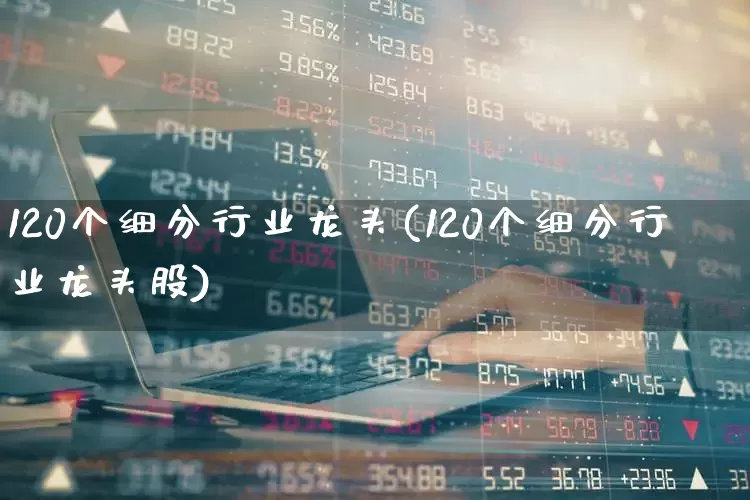 120个细分行业龙头(120个细分行业龙头股)_https://www.jumanxin.com_深交所_第1张