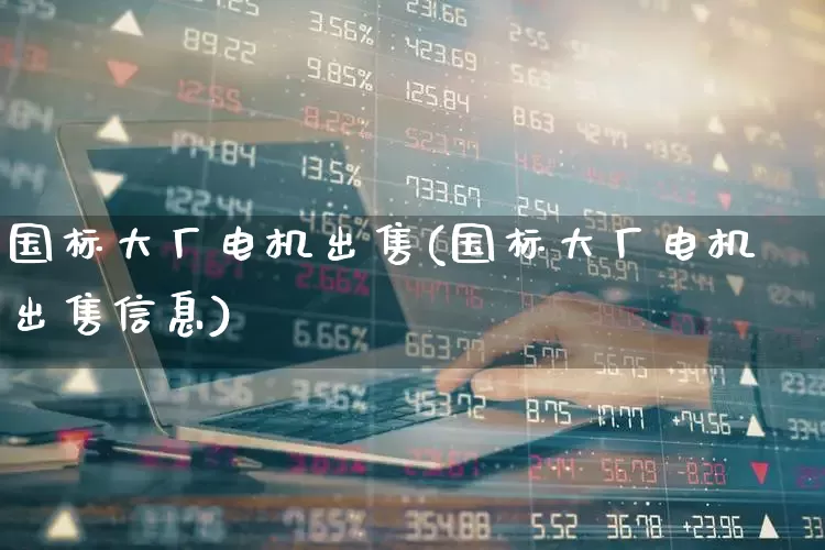 国标大厂电机出售(国标大厂电机出售信息)_https://www.jumanxin.com_北交所_第1张