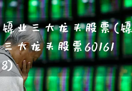 镍业三大龙头股票(镍业三大龙头股票601618)_https://www.jumanxin.com_创业板_第1张