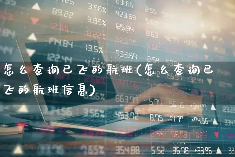 怎么查询已飞的航班(怎么查询已飞的航班信息)_https://www.jumanxin.com_上交所_第1张