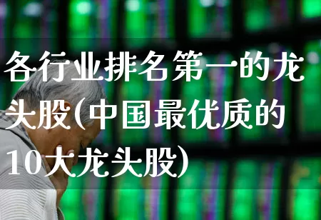 各行业排名第一的龙头股(中国最优质的10大龙头股)_https://www.jumanxin.com_科创板_第1张