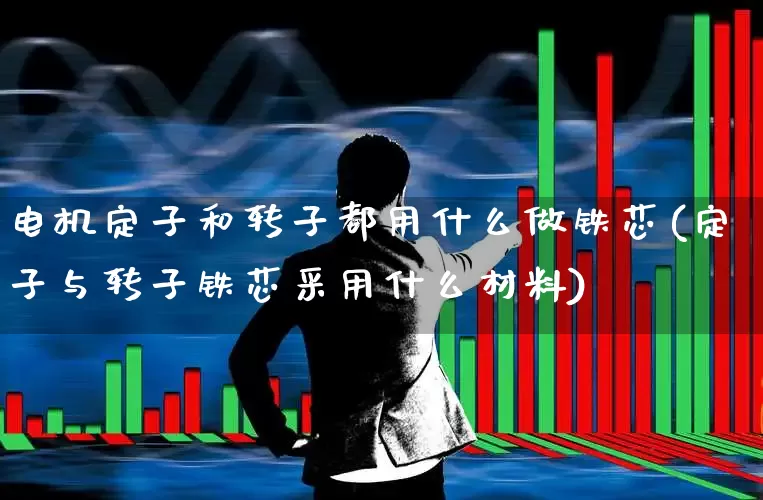 电机定子和转子都用什么做铁芯(定子与转子铁芯采用什么材料)_https://www.jumanxin.com_深交所_第1张