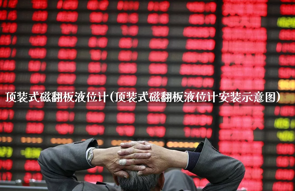 顶装式磁翻板液位计(顶装式磁翻板液位计安装示意图)_https://www.jumanxin.com_深交所_第1张
