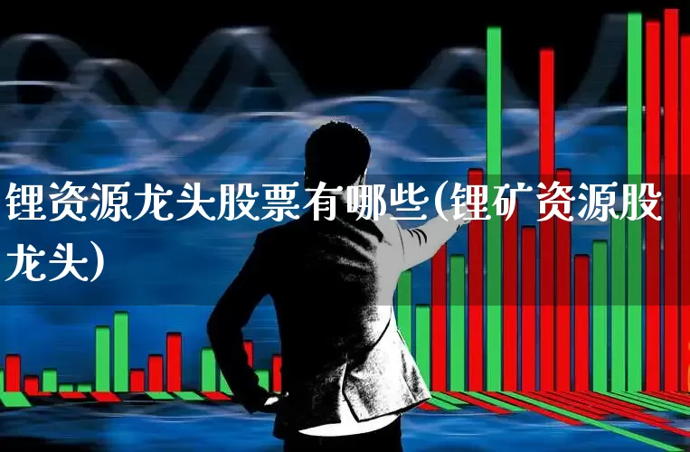 锂资源龙头股票有哪些(锂矿资源股龙头)_https://www.jumanxin.com_北交所_第1张