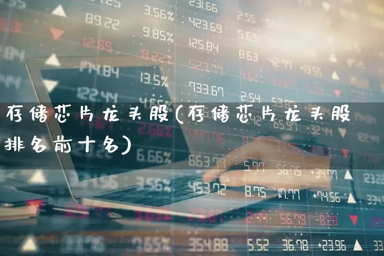存储芯片龙头股(存储芯片龙头股排名前十名)_https://www.jumanxin.com_北交所_第1张