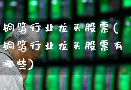 铜箔行业龙头股票(铜箔行业龙头股票有哪些)_https://www.jumanxin.com_创业板_第1张