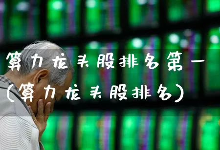 算力龙头股排名第一(算力龙头股排名)_https://www.jumanxin.com_创业板_第1张
