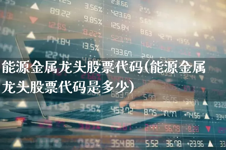 能源金属龙头股票代码(能源金属龙头股票代码是多少)_https://www.jumanxin.com_上交所_第1张