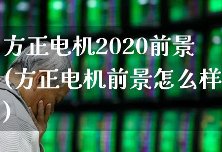 方正电机2020前景(方正电机前景怎么样)_https://www.jumanxin.com_北交所_第1张