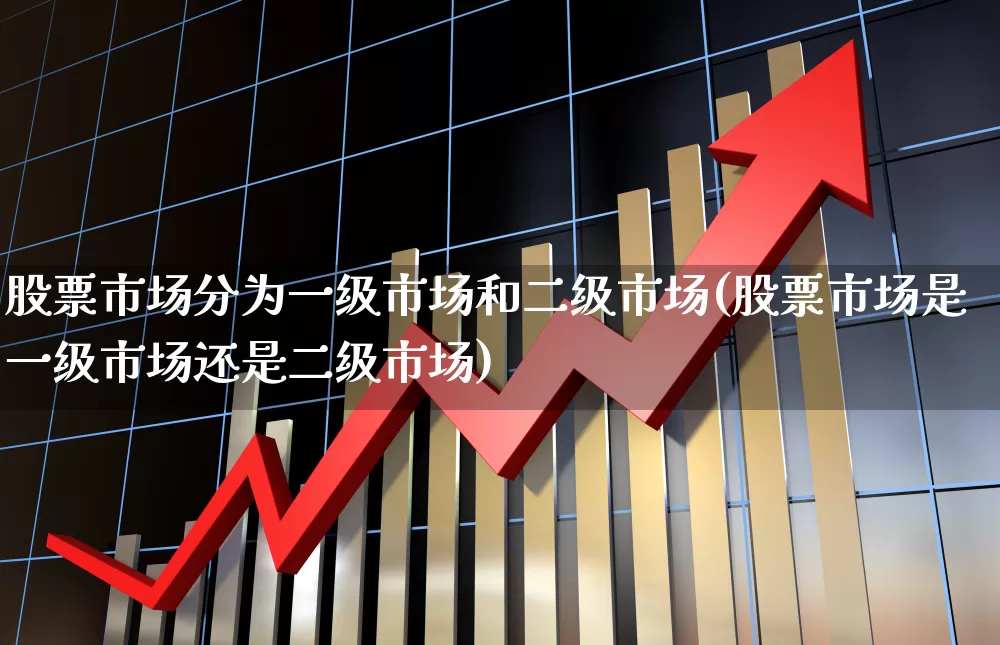 股票市场分为一级市场和二级市场(股票市场是一级市场还是二级市场)_https://www.jumanxin.com_北交所_第1张