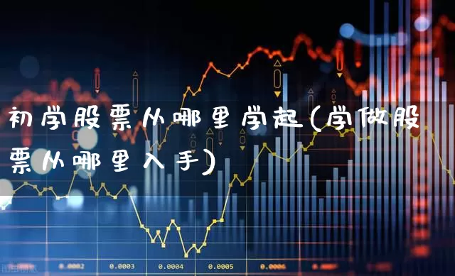 初学股票从哪里学起(学做股票从哪里入手)_https://www.jumanxin.com_创业板_第1张
