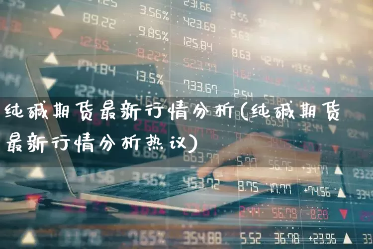 纯碱期货最新行情分析(纯碱期货最新行情分析热议)_https://www.jumanxin.com_上交所_第1张