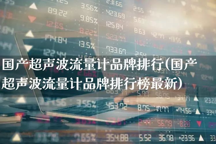 国产超声波流量计品牌排行(国产超声波流量计品牌排行榜最新)_https://www.jumanxin.com_上交所_第1张