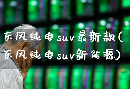 东风纯电suv最新款(东风纯电suv新能源)_https://www.jumanxin.com_北交所_第1张