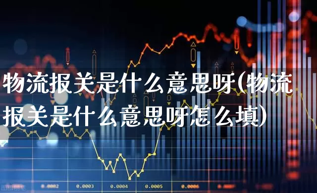 物流报关是什么意思呀(物流报关是什么意思呀怎么填)_https://www.jumanxin.com_上交所_第1张