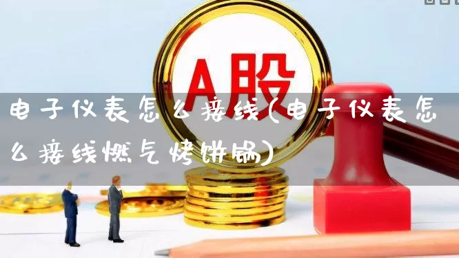 电子仪表怎么接线(电子仪表怎么接线燃气烤饼锅)_https://www.jumanxin.com_上交所_第1张