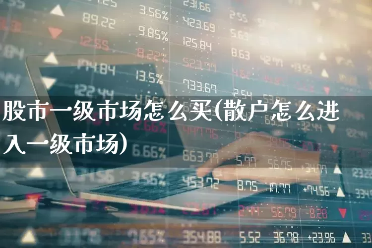 股市一级市场怎么买(散户怎么进入一级市场)_https://www.jumanxin.com_科创板_第1张