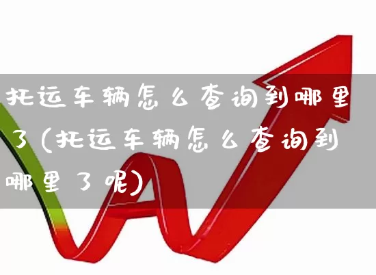 托运车辆怎么查询到哪里了(托运车辆怎么查询到哪里了呢)_https://www.jumanxin.com_北交所_第1张