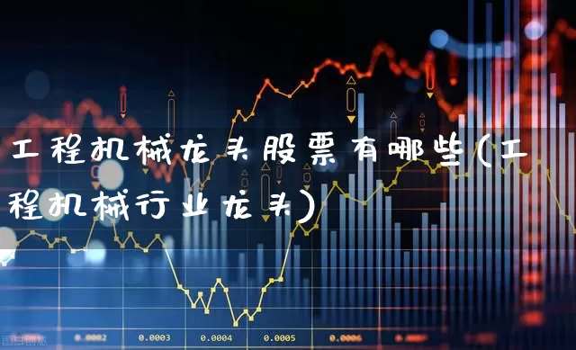 工程机械龙头股票有哪些(工程机械行业龙头)_https://www.jumanxin.com_上交所_第1张