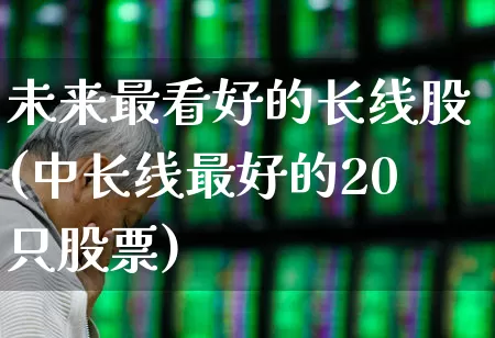 未来最看好的长线股(中长线最好的20只股票)_https://www.jumanxin.com_北交所_第1张