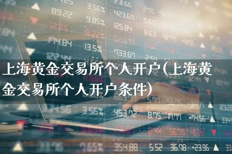 上海黄金交易所个人开户(上海黄金交易所个人开户条件)_https://www.jumanxin.com_北交所_第1张
