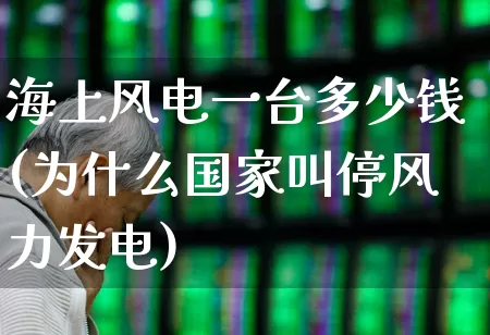 海上风电一台多少钱(为什么国家叫停风力发电)_https://www.jumanxin.com_深交所_第1张