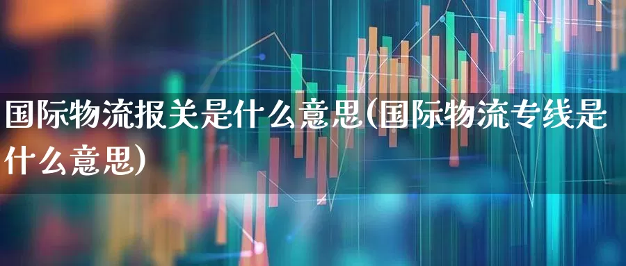 国际物流报关是什么意思(国际物流专线是什么意思)_https://www.jumanxin.com_创业板_第1张
