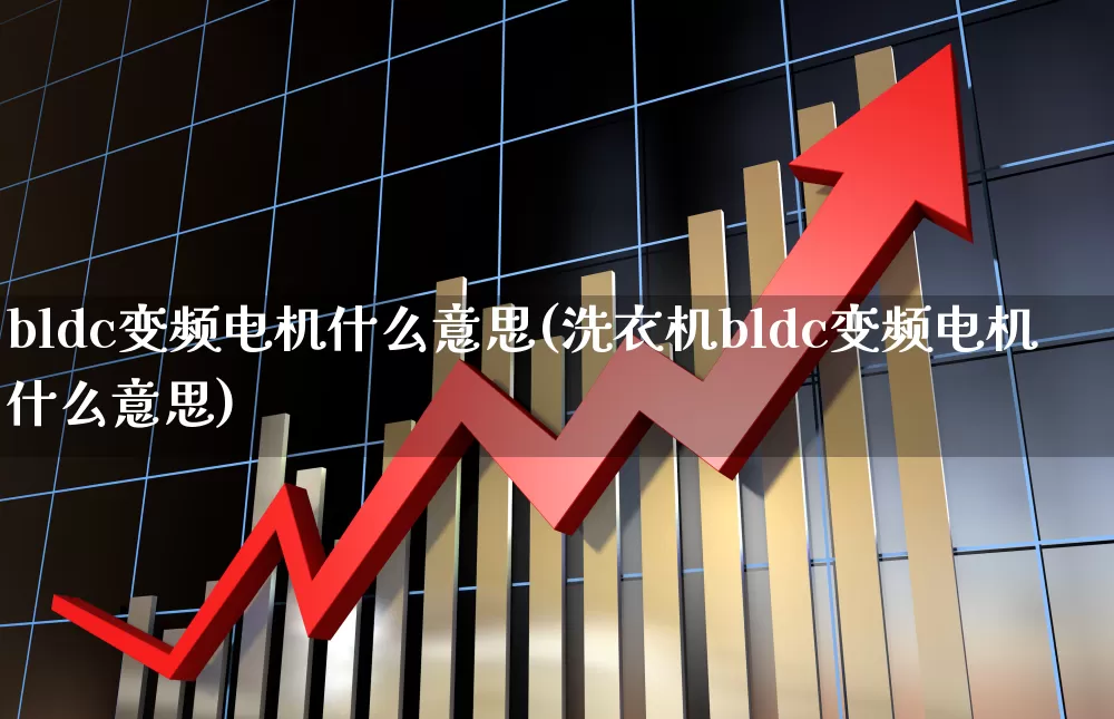 bldc变频电机什么意思(洗衣机bldc变频电机什么意思)_https://www.jumanxin.com_深交所_第1张