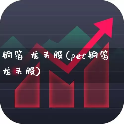 铜箔 龙头股(pet铜箔龙头股)_https://www.jumanxin.com_科创板_第1张