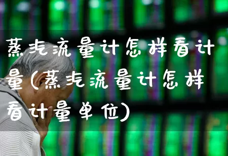 蒸汽流量计怎样看计量(蒸汽流量计怎样看计量单位)_https://www.jumanxin.com_北交所_第1张