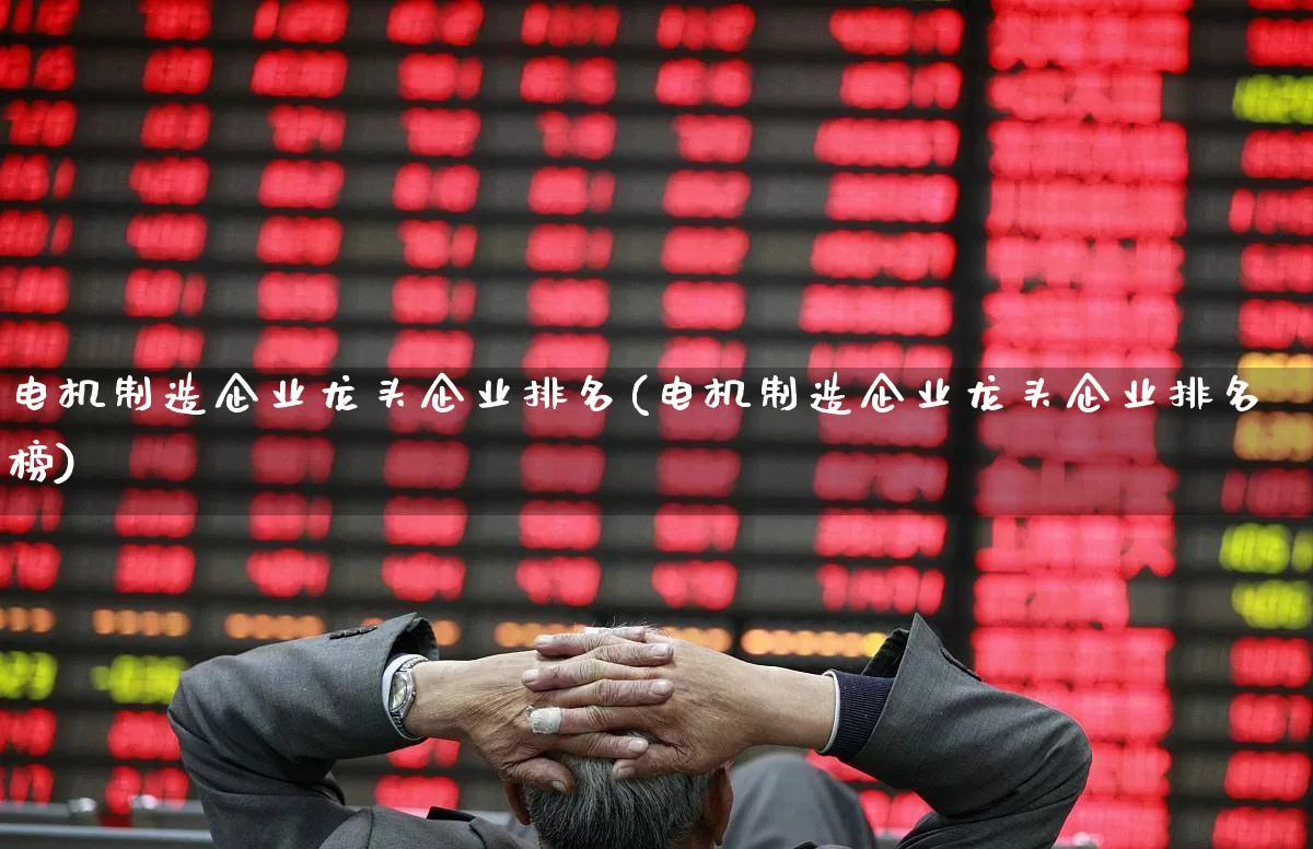 电机制造企业龙头企业排名(电机制造企业龙头企业排名榜)_https://www.jumanxin.com_科创板_第1张