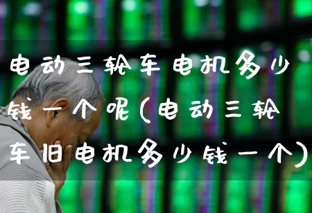 电动三轮车电机多少钱一个呢(电动三轮车旧电机多少钱一个)_https://www.jumanxin.com_北交所_第1张