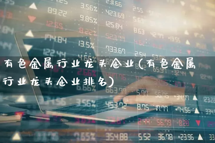 有色金属行业龙头企业(有色金属行业龙头企业排名)_https://www.jumanxin.com_深交所_第1张