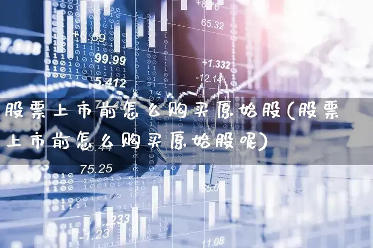 股票上市前怎么购买原始股(股票上市前怎么购买原始股呢)_https://www.jumanxin.com_北交所_第1张