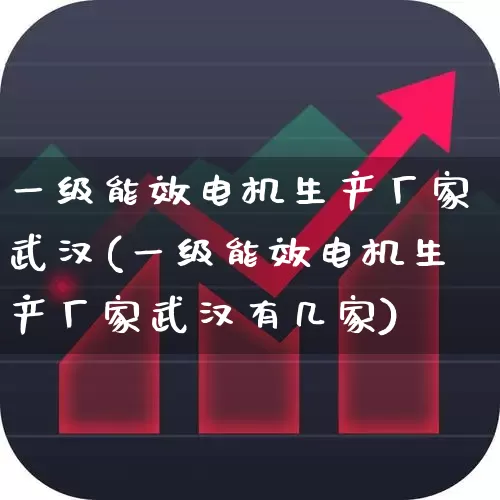 一级能效电机生产厂家武汉(一级能效电机生产厂家武汉有几家)_https://www.jumanxin.com_科创板_第1张